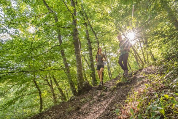 MÜNSINGEN: Wandertouren – Bild 8