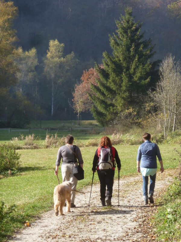 MÜNSINGEN: Nordic Walking – Bild 3
