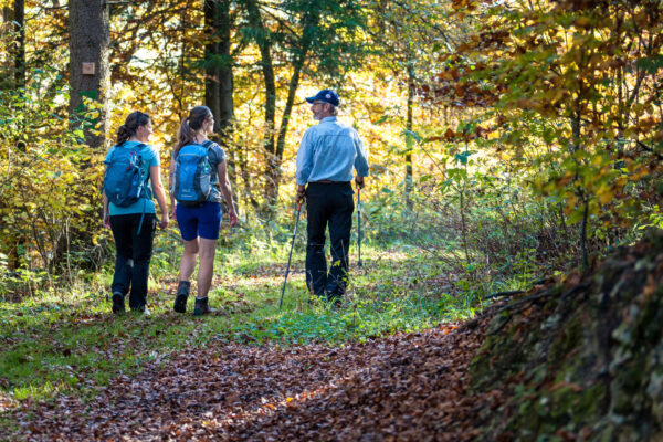 MÜNSINGEN: Nordic Walking – Bild 4