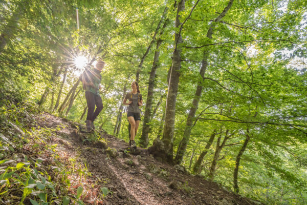 LANDKREIS REUTLINGEN: Wandern – Bild 7