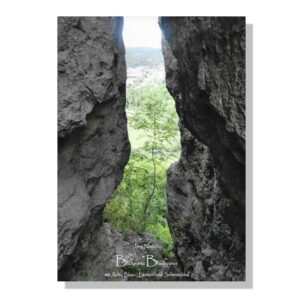 BUCH: Blickpunkt Blaubeuren