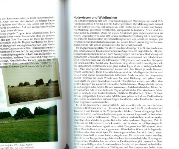 BUCH: Europäische Juwelen – Bild 3